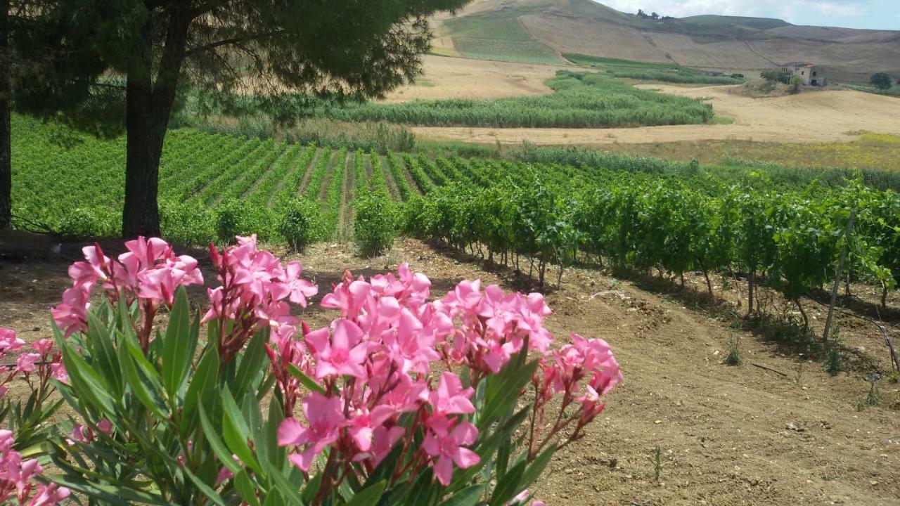 Terre Di Gratia Panzió Camporeale Kültér fotó